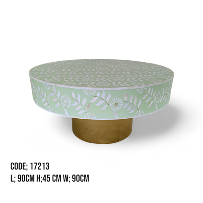 Bone inlay coffee Table