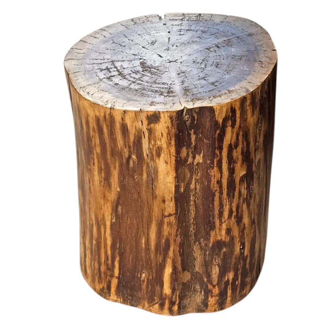 Al-Jiz'a Rustic Carved Log Stool