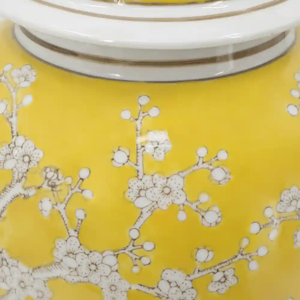 Meihua Meiping Porcelain Ginger Jar